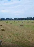 Hooibalen - 22 juni - vers van het land - onkruidvrij, Ophalen