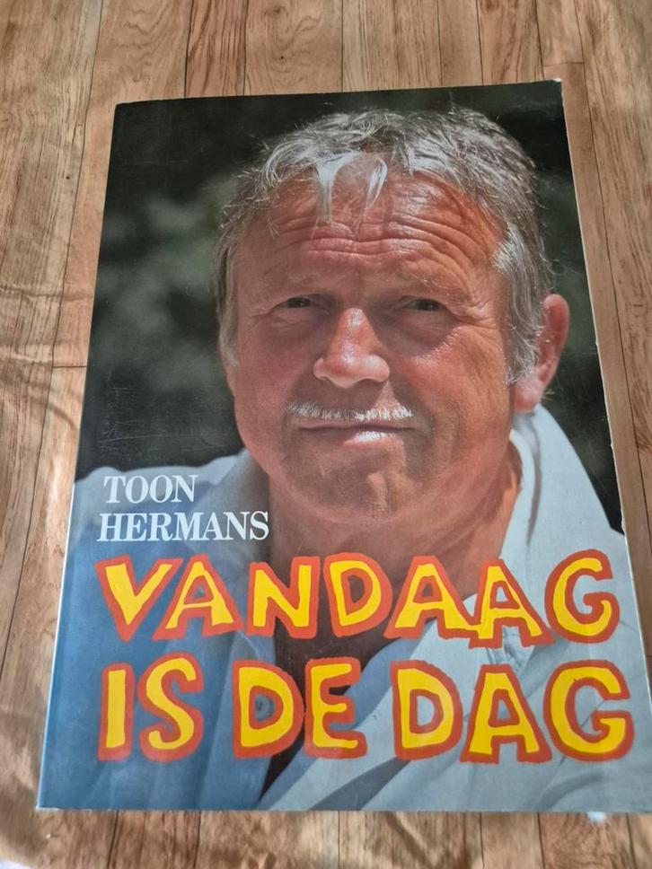 Toon Hermans - Vandaag is de dag, Boeken, Biografieën, Gelezen, Kunst en Cultuur, Ophalen of Verzenden