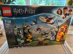 Harry potter LEGO 75956, quidditch match, Ophalen, Zo goed als nieuw