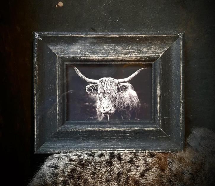 Mooi stevige fotolijstjes!, Audio, Tv en Foto, Fotografie | Fotolijsten, Nieuw, Ophalen of Verzenden