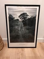 Ingelijste Desenio posters €15 per lijst, Ophalen, Zo goed als nieuw, Hout, Minder dan 50 cm