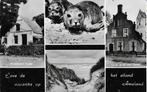 Ameland, Zeehond, Amelander huisje, Oude gevel, Toren, Duin, Verzenden, 1960 tot 1980, Gelopen, Waddeneilanden