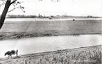 Herwijnen Riviergezicht met boot en koe, Verzenden, 1960 tot 1980, Ongelopen, Gelderland
