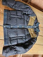 Dsquared winterjas. Dsquared2, Kleding | Heren, Jassen | Winter, Ophalen of Verzenden, Zo goed als nieuw, Maat 48/50 (M), Zwart