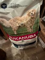 Wegens overlijden hond te koop, Dieren en Toebehoren, Ophalen, Hond