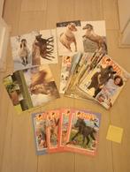 penny jaargang 2022 nummer 1 tm 26 met specials en posters, Ophalen of Verzenden, Gelezen