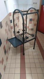 Te koop papegaaien kooi op wielen, Dieren en Toebehoren, Vogels | Hokken en Kooien, Ophalen, Zo goed als nieuw, Metaal, Vogelkooi