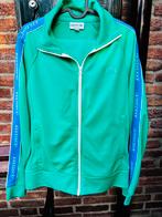 Lacoste Trainingspak - Stijlvol en Comfortabel!, Kleding | Heren, Maat 48/50 (M), Lacoste, Ophalen of Verzenden, Zo goed als nieuw