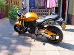 Honda CB600F Hornet 2009 – Goud, Motoren, Motoren | Honda, 4 cilinders, Particulier, Meer dan 35 kW, Toermotor