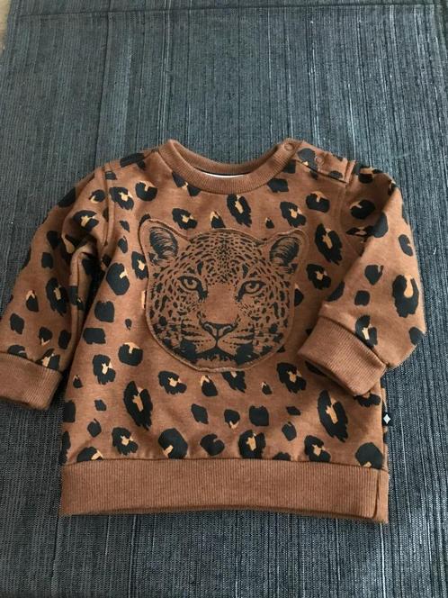 sweater (Feetje), Kinderen en Baby's, Babykleding | Maat 74, Zo goed als nieuw, Meisje, Shirtje of Longsleeve, Ophalen of Verzenden