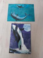 Mooie ansicht kaart met envelop orca NIEUW, Verzamelen, Ansichtkaarten | Dieren, Ophalen of Verzenden, 1980 tot heden, Ongelopen
