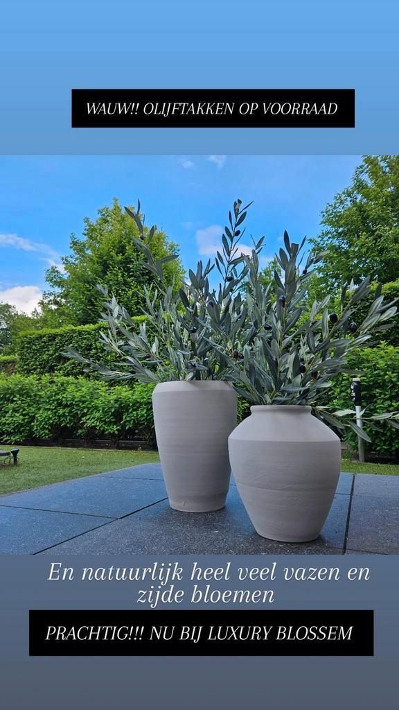 Vazen met Kunst Olijftakken - Luxury Blossom, Huis en Inrichting, Woonaccessoires | Vazen, Nieuw, Overige kleuren, Minder dan 50 cm