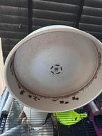 Ratten loopwiel 40cm, Dieren en Toebehoren, Ophalen