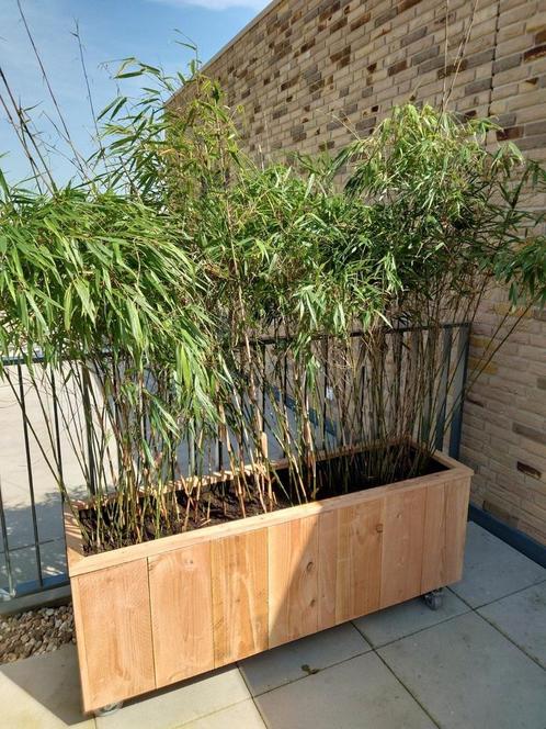 Tuinmeubels/plantenbakken en meer!, Tuin en Terras, Bloembakken en Plantenbakken, Nieuw, Hout, Tuin, Ophalen