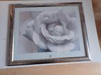 Poster van een roos Lens & Lens, Ophalen, Met lijst, A1 t/m A3, Dier of Natuur