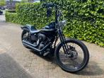 Harley Davidson Night Train 100th Anniversary, Particulier, Chopper
