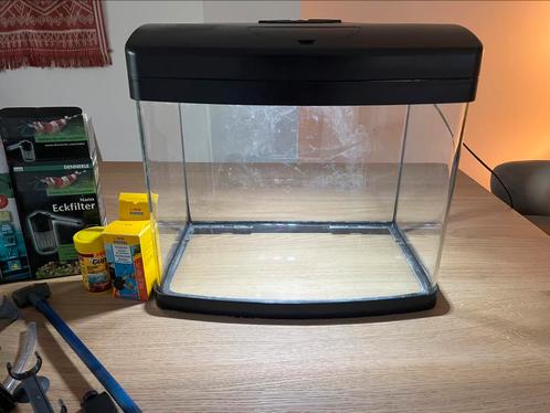 Aquarium bak klein met divers toebehoren, Dieren en Toebehoren, Vissen | Aquaria en Toebehoren, Leeg aquarium, Ophalen