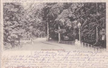 bloemendaal 1901 tekst/zegel  hartenlust beschikbaar voor biedingen