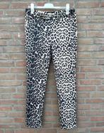 Leopard print broek - Y-CONIC, Verzenden, Beige, Maat 42/44 (L), Zo goed als nieuw