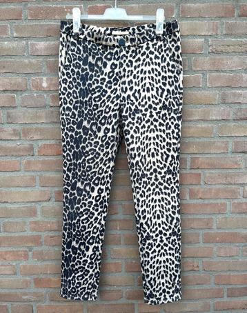 Leopard print broek - Y-CONIC  beschikbaar voor biedingen