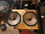 Philips AD8066/W4 Woofers (Paar), Audio, Tv en Foto, Luidsprekers, Philips, Gebruikt, Ophalen of Verzenden, Minder dan 60 watt