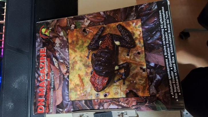 Dendrobatidae Nederland DN magazines, Dieren en Toebehoren, Reptielen en Amfibieën | Toebehoren, Zo goed als nieuw, Ophalen of Verzenden