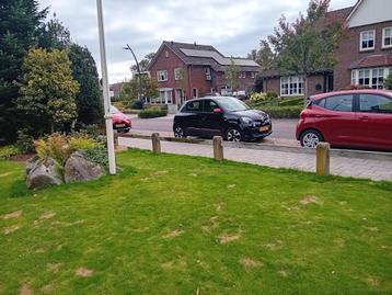 Tuinhek paaltjes, per stuk beschikbaar voor biedingen