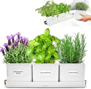 GREEN THUMBZ KRUIDENPOTJES SET VAN 19.95 VOOR MAAR 10 EURO. beschikbaar voor biedingen