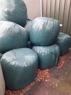 Tekoop midibaaltjes, Ophalen of Verzenden, Vee