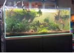 Aquarium 120 cm ada optic white, Dieren en Toebehoren, Ophalen, Gebruikt, Leeg aquarium