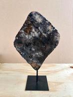 Citrien op voet, Verzamelen, Ophalen of Verzenden