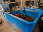 Vijverbak quarantaine bak met filter, Ophalen, Zo goed als nieuw