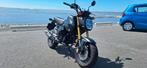 Honda Grom 2021, Motoren, Particulier, 11 kW of minder, 1 cilinder, Naked bike