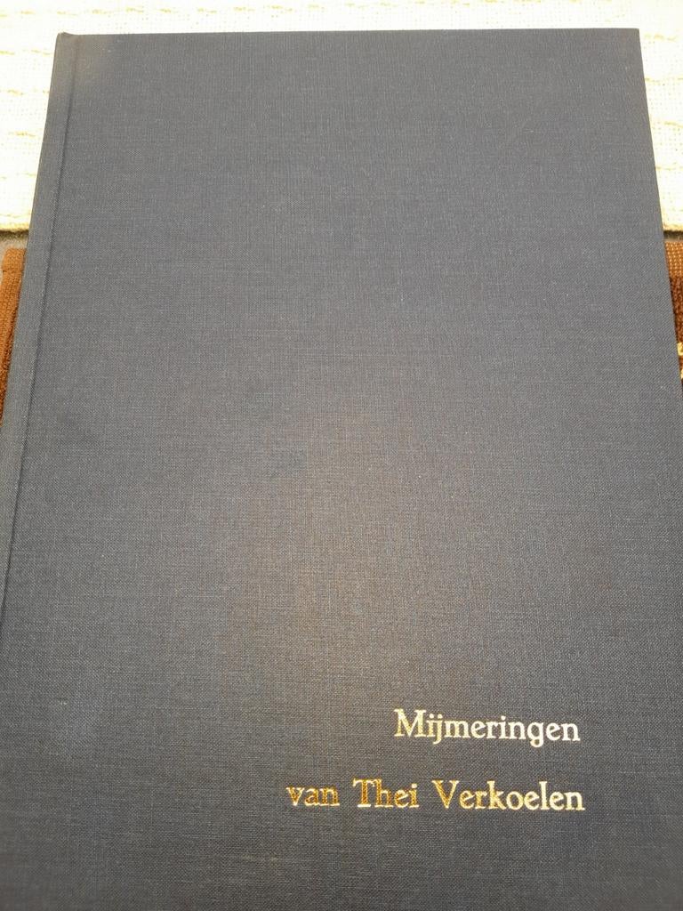Mijmeringen van Thei Verkoelen, Boeken, Geschiedenis | Stad en Regio, Ophalen of Verzenden