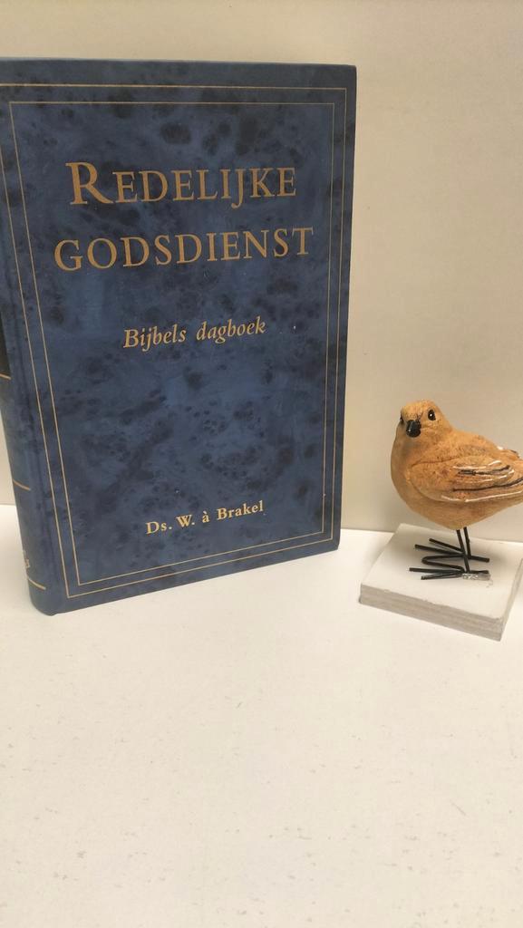 Brakel, W. a; Redelijke Godsdienst (Bijbels dagboek), Boeken, Godsdienst en Theologie, Gelezen, Christendom | Protestants, Ophalen of Verzenden