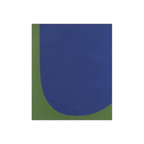 Ellsworth Kelly - Red Green Blue, Boeken, Kunst en Cultuur | Beeldend, Nieuw, Schilder- en Tekenkunst, Ophalen of Verzenden