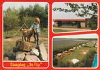 Schoonoord   Camping de Tip, Ophalen of Verzenden, 1940 tot 1960, Gelopen, Drenthe