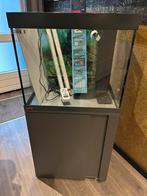 Eheim aqarium met 3xled verlichting, Dieren en Toebehoren, Vissen | Aquaria en Toebehoren, Ophalen, Gebruikt, Verlichting of Verwarming