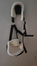 Kaptoom halster maat full, Dieren en Toebehoren, Paarden en Pony's | Hoofdstellen en Tuigage, Ophalen, Nieuw, Overige soorten