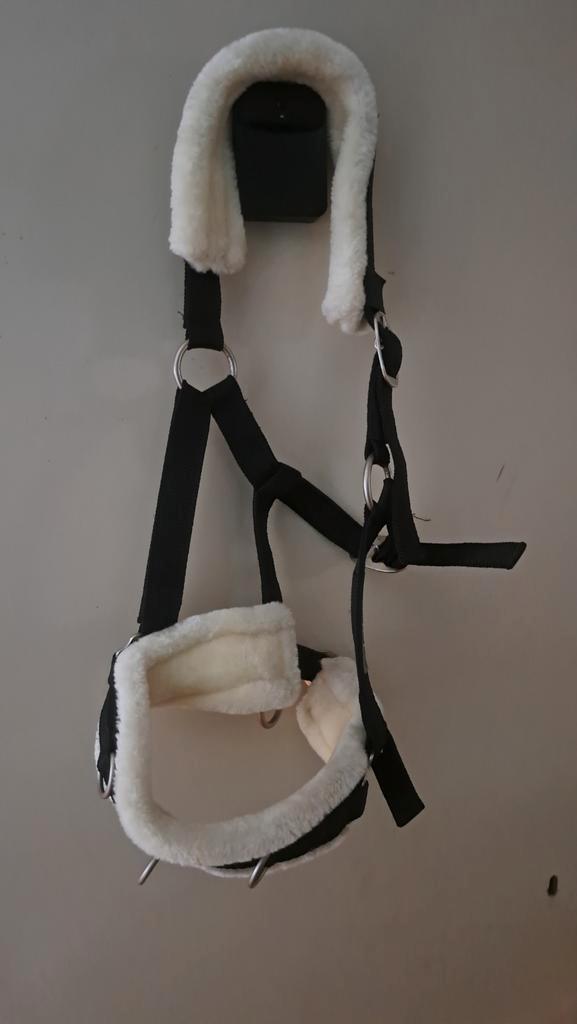 Kaptoom halster maat full, Dieren en Toebehoren, Paarden en Pony's | Hoofdstellen en Tuigage, Nieuw, Overige soorten, Ophalen