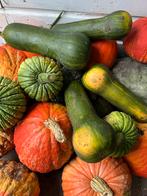 Verse aardappelen, ui,pompoenen en courgettes uit eigen tuin, Diversen, Levensmiddelen, Ophalen of Verzenden
