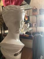 Buste van Griekse schone, Ophalen