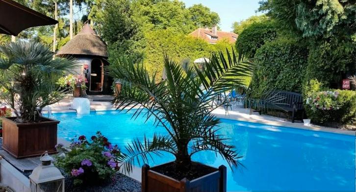 Entree Spa Veluwe 2 personen, Tickets en Kaartjes, Recreatie | Overige, Twee personen, Ticket of Toegangskaart