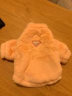 Honden jas Prada, Dieren en Toebehoren, Ophalen of Verzenden, Nieuw, Hondenjas