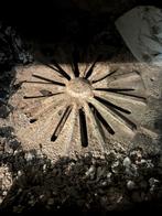 Gezocht: asrooster Helex inbouw allesbrander, Huis en Inrichting, Ophalen of Verzenden, Hout, Inbouw, Gaskachel