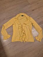 Leuk vestje maat M, Kleding | Dames, Truien en Vesten, Ophalen of Verzenden, Zo goed als nieuw, Maat 38/40 (M), Geel