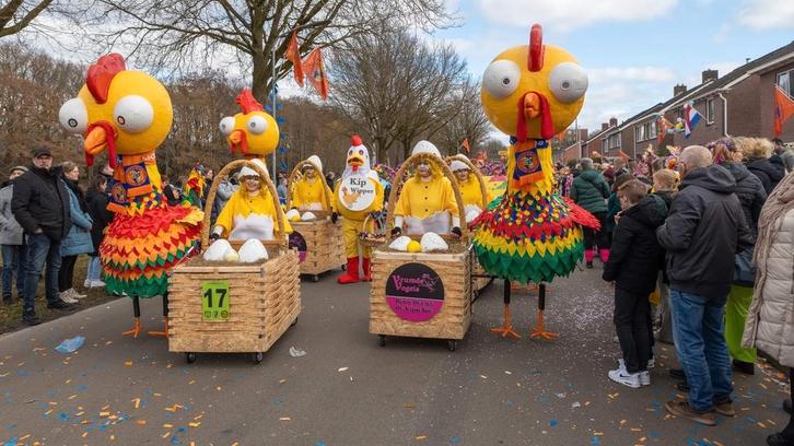 Leuke beweegbare kippen met mand en haan. Echte blikvanger., Kleding | Dames, Carnavalskleding en Feestkleding, Zo goed als nieuw