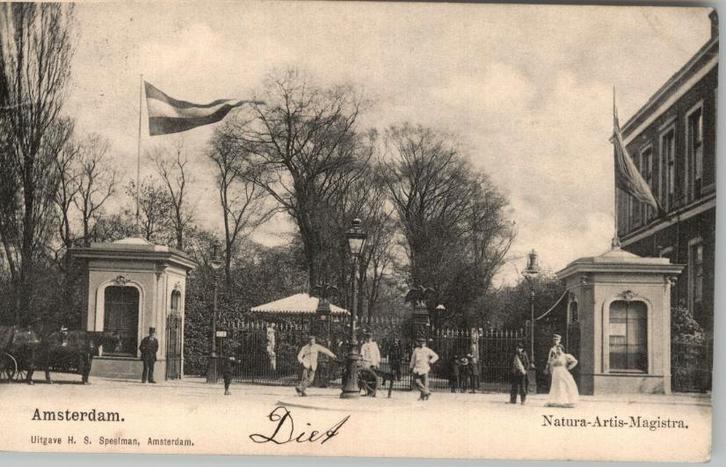 Amsterdam Natura Artis Magistra st 1909 H.S.Speelman, Verzamelen, Ansichtkaarten | Nederland, Gelopen, Noord-Holland, Voor 1920