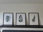 Posters in houten lijst | 3 stuks | bladeren, Ophalen, Minder dan 50 cm, Zo goed als nieuw, Minder dan 50 cm
