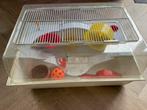 Hamsterkooi, Kooi, Hamster, Minder dan 75 cm, Zo goed als nieuw